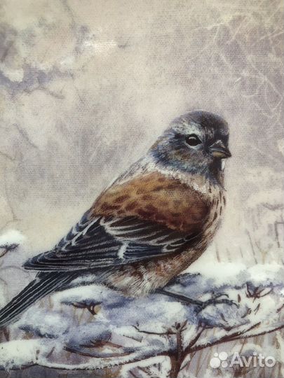 Тарелка фарфоровая, коллекционная