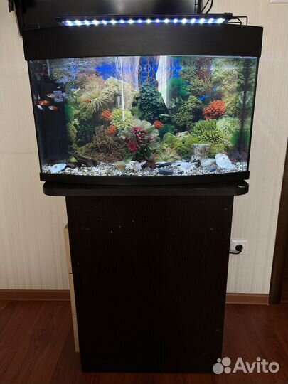 Аквариум полный комплект с рыбками