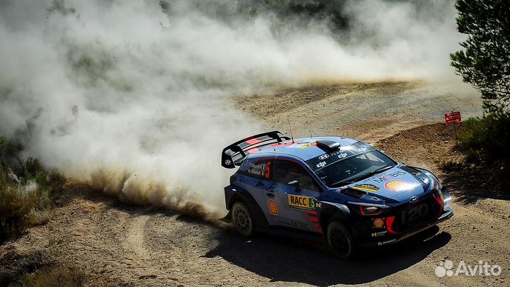 WRC Standard Edition Xbox