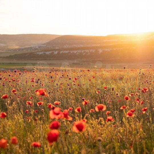 Участок 1,71 га (СНТ, ДНП)