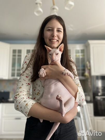 Посредник в Казахстане