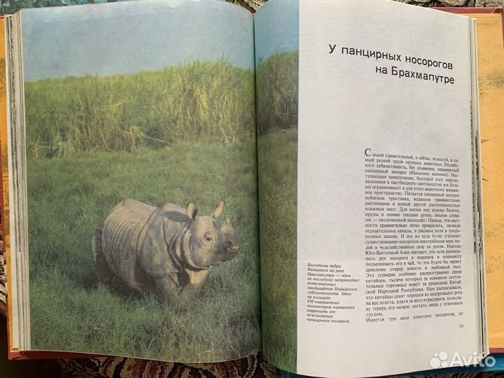 Книги о природе и подводном мире