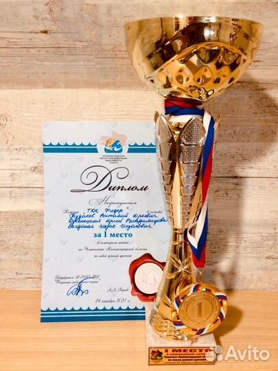 Медали, кубки, награды