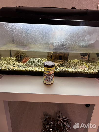 Аквариум
