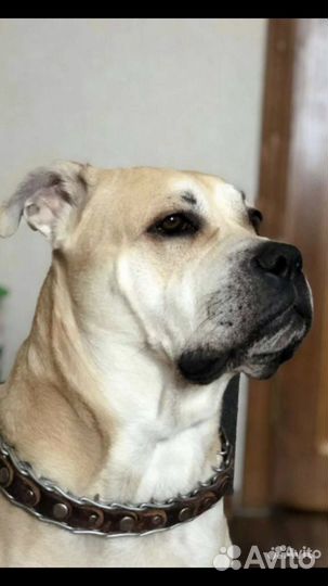 Кабель Ка де бо (вязка)