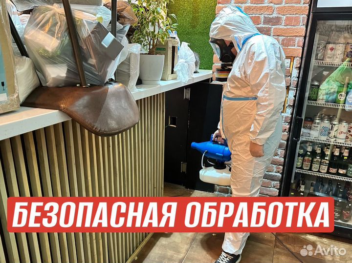 Уничтожение тараканов,дезинфекция вывести клопов