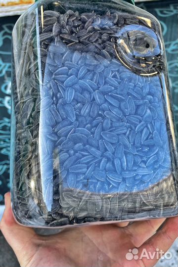 Семечки подсолнечника весовые