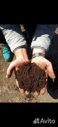 Чернозем в мешках,перегной, бесплатная доставка