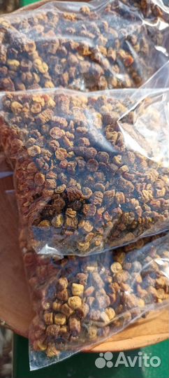 Перга пчелиная