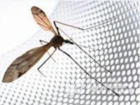 Москитные сетки