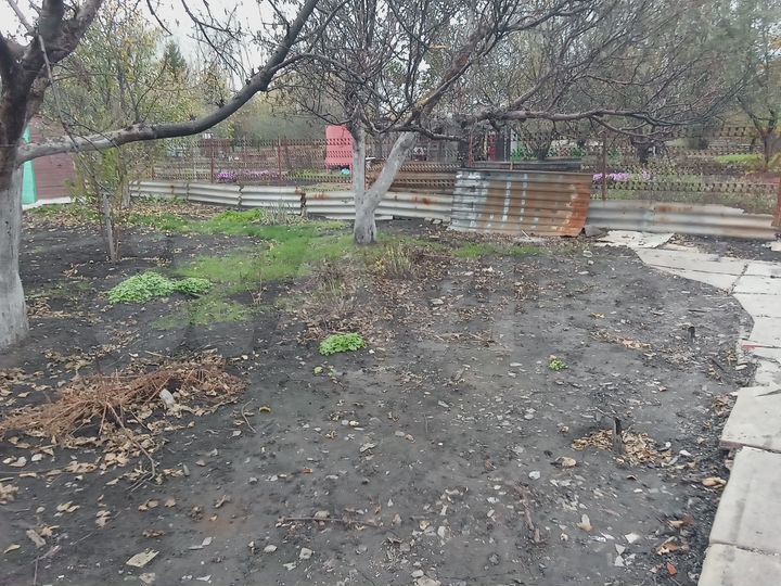 Участок 6 сот. (СНТ, ДНП)
