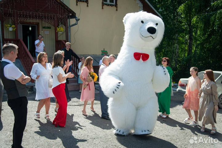 Поздравление от белого бурого мишки и чебурашки