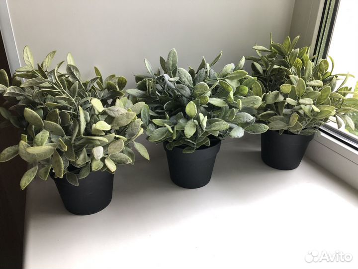 Искусственные растения IKEA