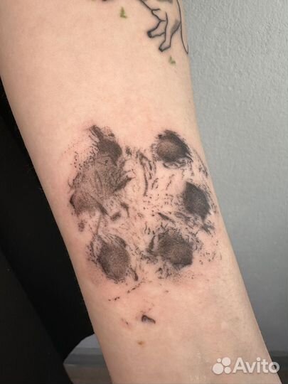 Тату студия