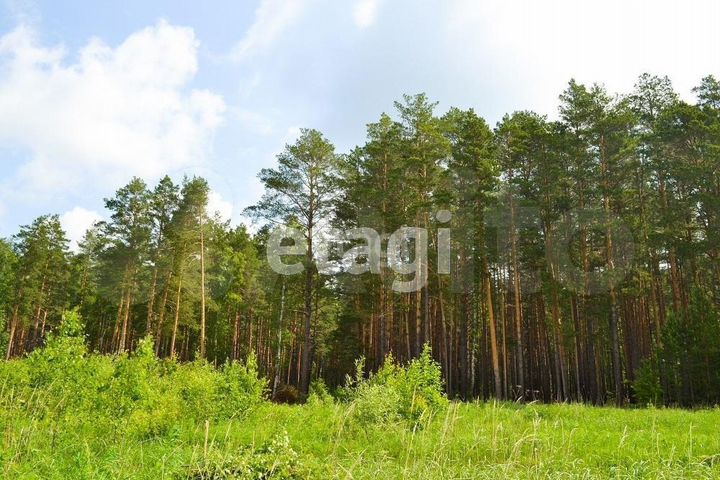 Участок 22,6 га (промназначения)