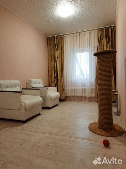 Передержка кошек. Гостиница для животных