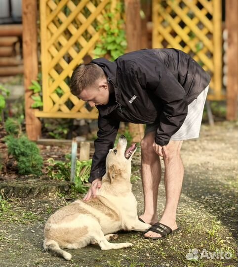 Чудесная девочка в добрые руки