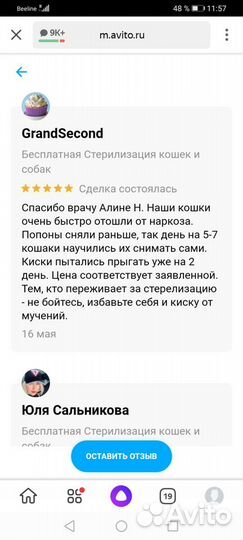 Стерилизация кошек и кастрация котов