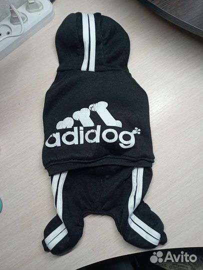 Одежда для собак
