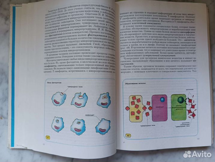 Биология человека Шабатура Н.Н