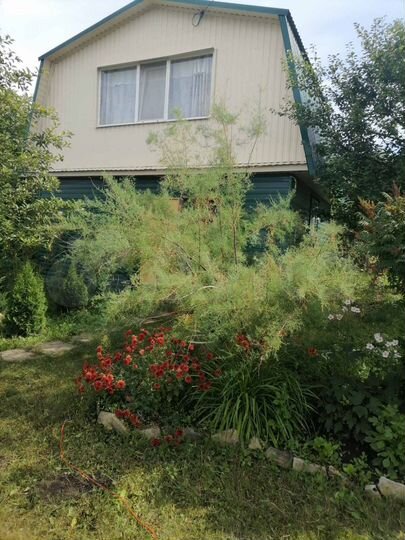 Дача 60 м² на участке 12,5 сот.