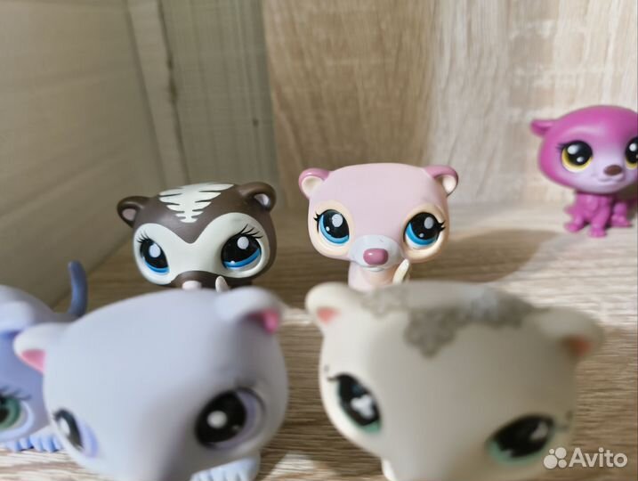 Littlest pet shop кошки