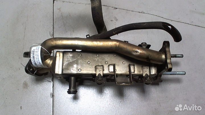 Охладитель отработанных газов Honda CR-V, 2010