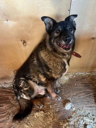 Я потерял все зубы