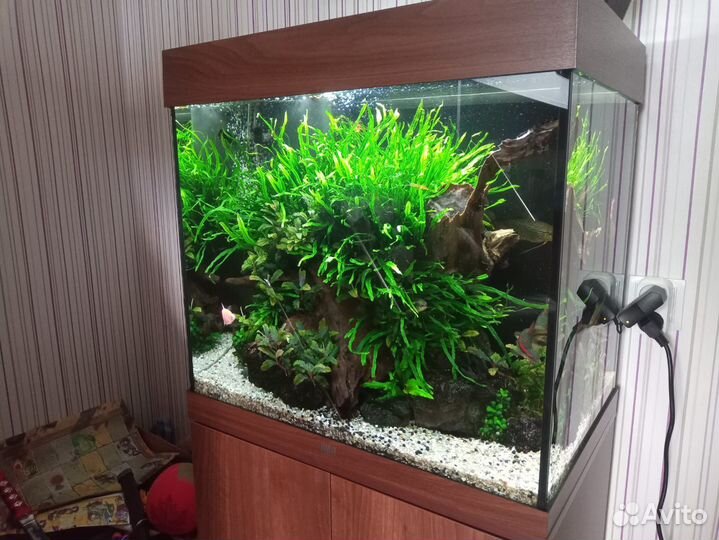 Аквариум Juwel Lido 120л, тёмное дерево