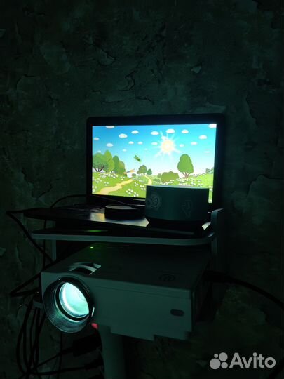 Аренда проектора