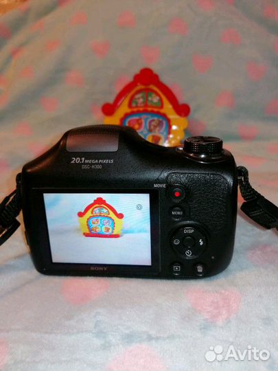 Sony Cyber-shot DSC-H300 (черный)