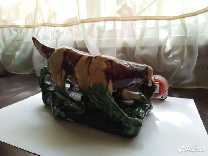 Собака на охоте