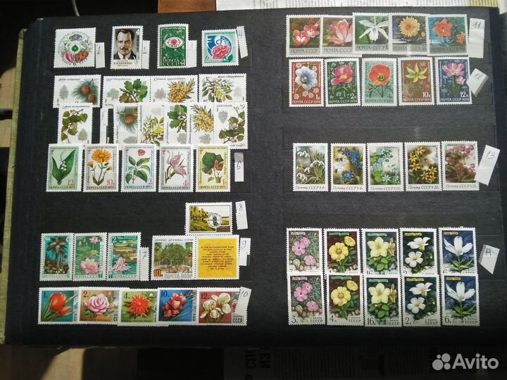 Почтовые марки,Флора 3