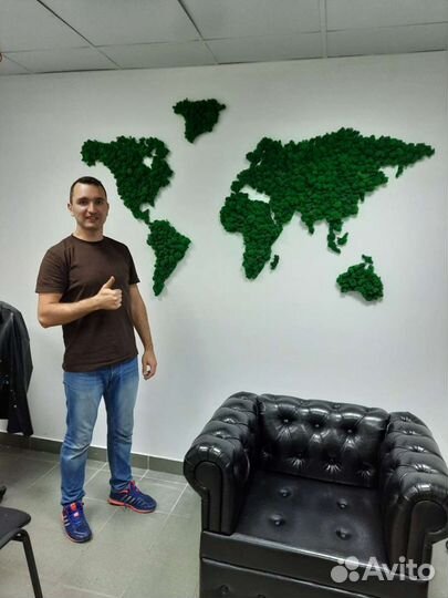 Стабилизированный мох, изделия из мха