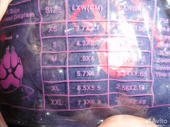 Новые сапожки и складная поилка для собак