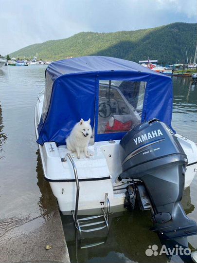 Продам катер Катрин