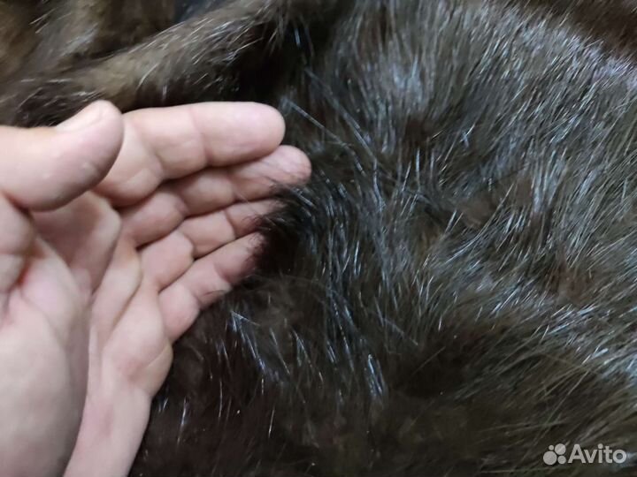 Шкурка нутрии выделанная