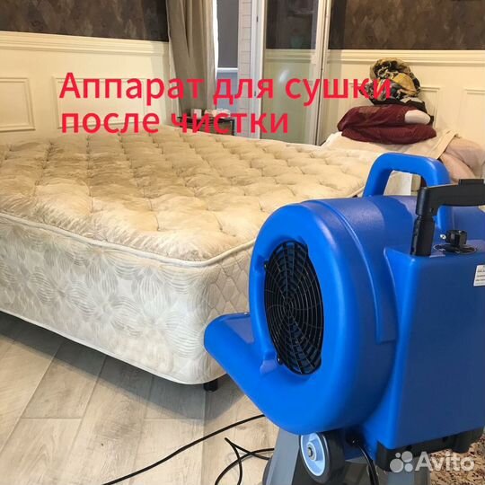 Аренда моющего пылесоса