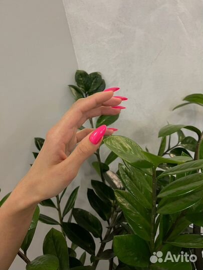 Маникюр с покрытием гель лак