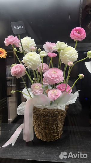 Цветы Ранункулюсы