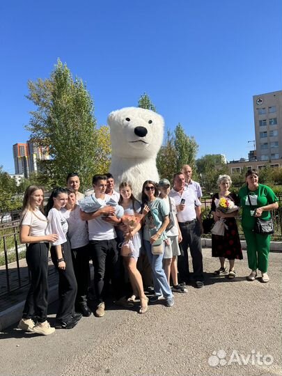 Белый мишка поздравление