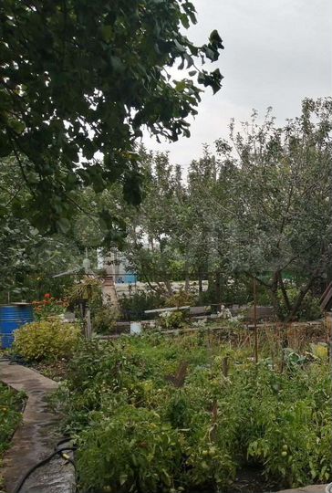 Дом 30 м² на участке 5 сот.