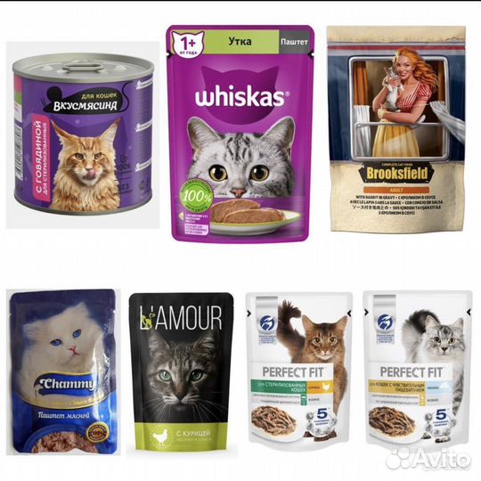 Влажный корм для кошек