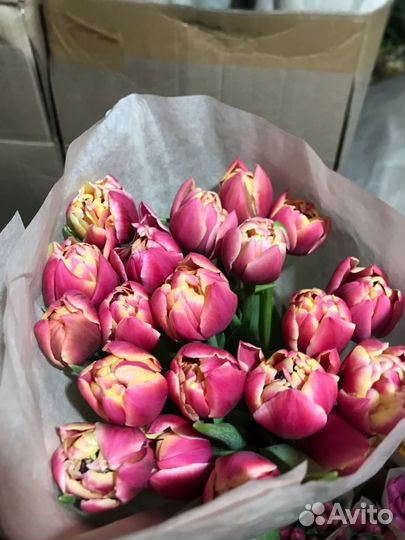 Тюльпаны к 8 марта розница
