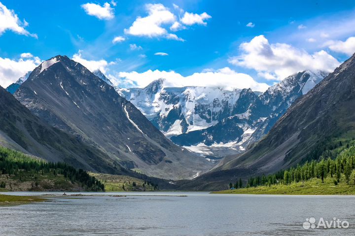 Тур на Алтай. Поход к подножию Белухи