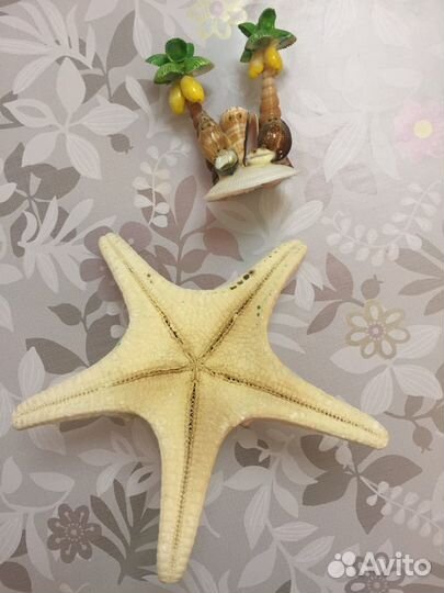 Сувенир Морская звезда и Пальмы из ракушек