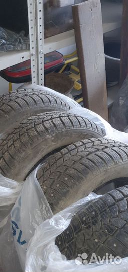 Tigar Sigura 185/60 R14