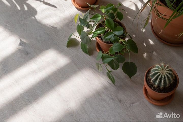 Кварц виниловая плитка