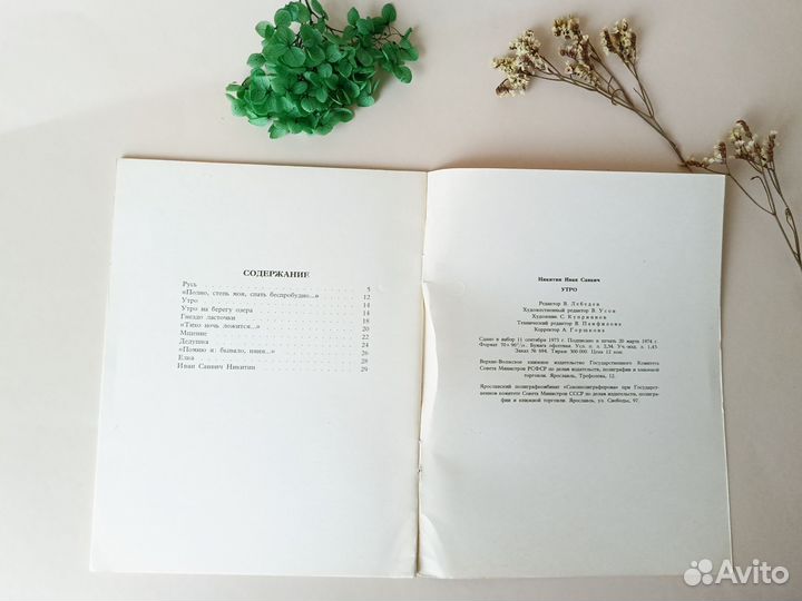 Утро Иван Никитин 1974