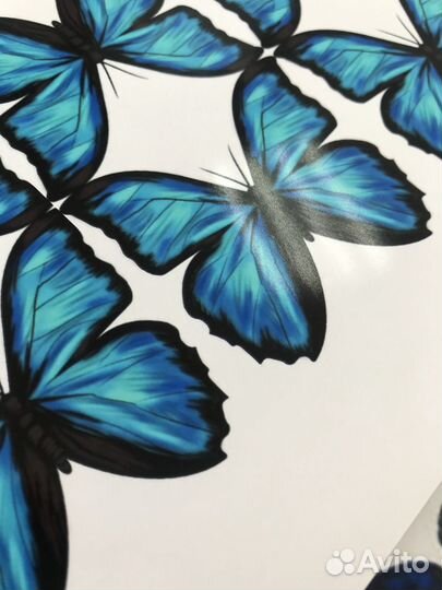 Бабочки для букета печать цветная